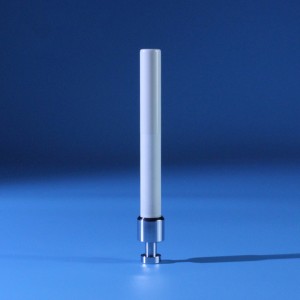 Alumina ceramică Plunger.